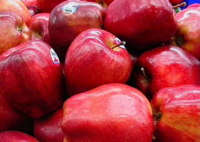 سیب تهران به جهان صادر می شود