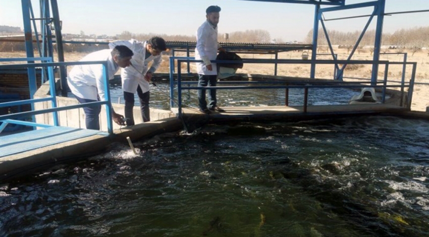 بزرگترین مرکز پرورش ماهی در جنوب شرق استان تهران افتتاح شد