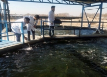 بزرگترین مرکز پرورش ماهی در جنوب شرق استان تهران افتتاح شد
