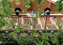 عکس | ساخت خانه جنگلی سازگار با محیط زیست در دل تهران