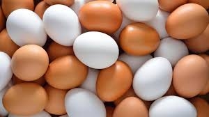 اسناد توسعه ای| استان تهران رتبه اول کشوری در تولید تخم مرغ