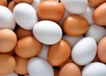 اسناد توسعه ای| استان تهران رتبه اول کشوری در تولید تخم مرغ