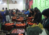 گزارش/ شمارش معکوس برای افتتاح بزرگترین ترمینال محصولات کشاورزی تهران